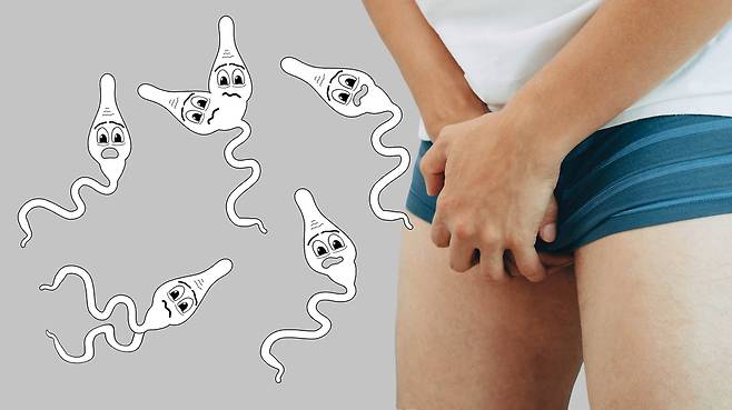 사진=클립아트코리아