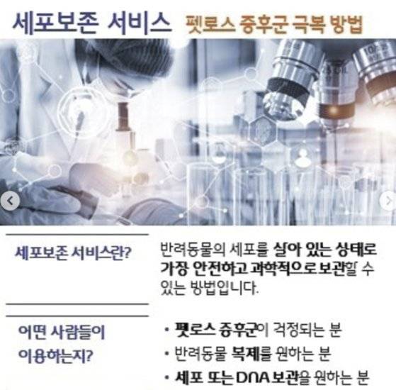 체세포 보관 업체의 홍보글. 해당 업체를 비롯해 반려 동물 복제 업체 및 체세포 보관 업체들은 바이오 산업임을 강조한다. 펫로스로 힘들어하는 이들이 주요 고객이다. [인스타그램 캡처]