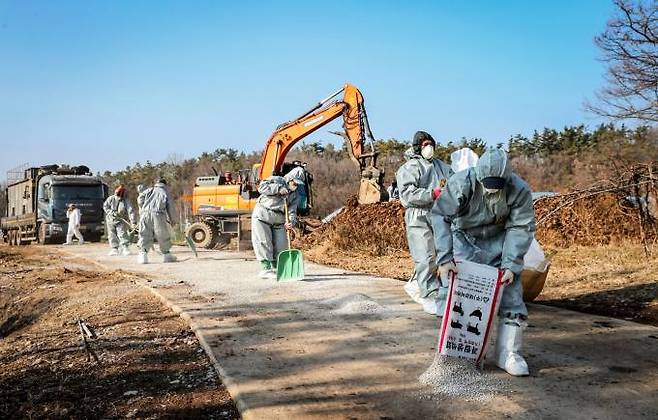 의성군이 15일 AI 일제 소독의 날로 정하고 대대적인 집중 방역을 실시했다. (의성군 제공) 2024.01.15