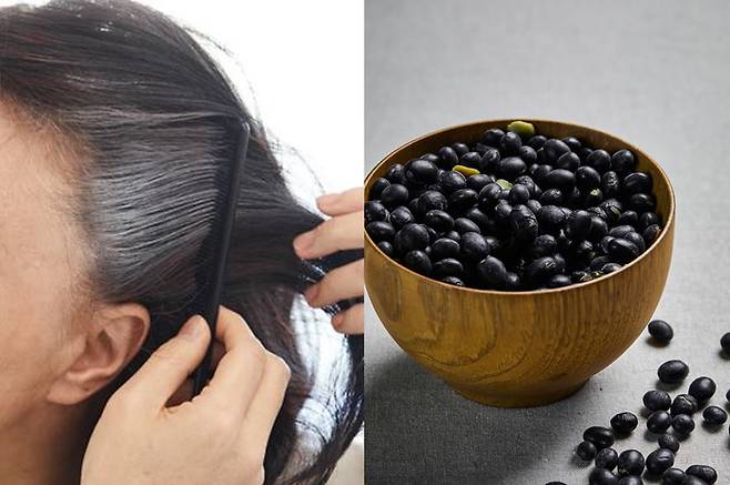 검정콩은 혈액 순환을 도와 모근을 건강하게 해주고 머리카락을 검고 윤기 나게 만드는 것으로 알려져 있다. [사진=게티이미지뱅크]
