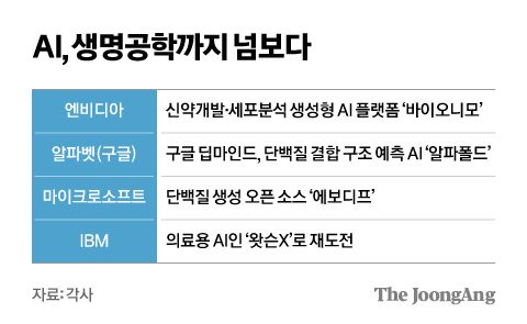 김영희 디자이너