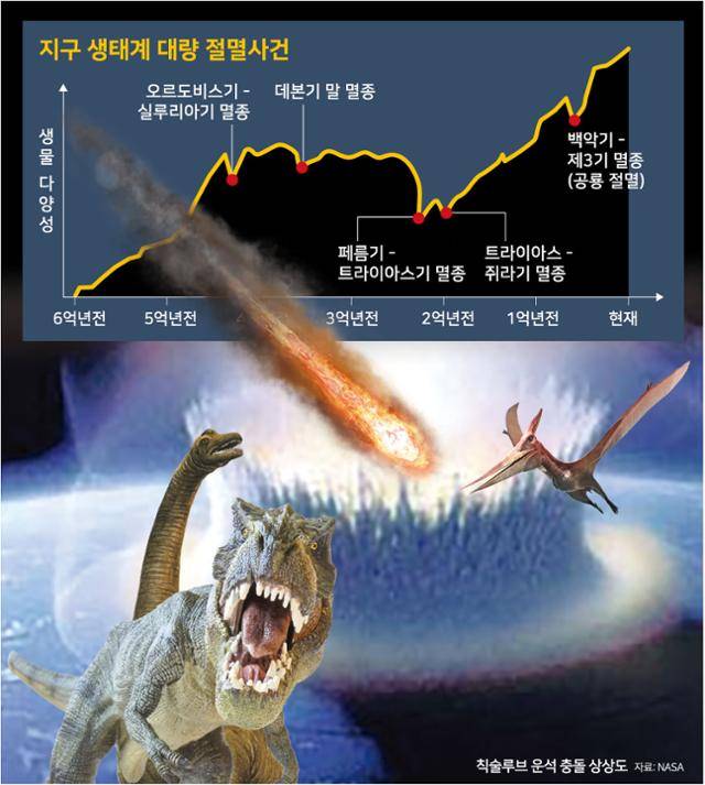 그래픽=강준구기자