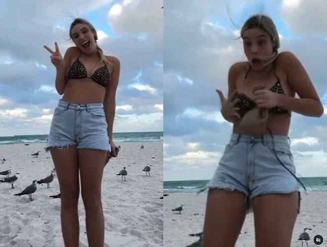 베네수엘라 출신 가수이자 수만명의 팔로워를 갖고 있는 미모의 인플루언서 렐레 폰스(27)가 한 해변에서 갈매기들의 습격을 당하는 아찔한 상황이 벌어졌다. [사진출처 = 인스타그램]