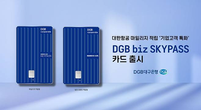 DGB biz SKYPASS 카드 출시 *재판매 및 DB 금지