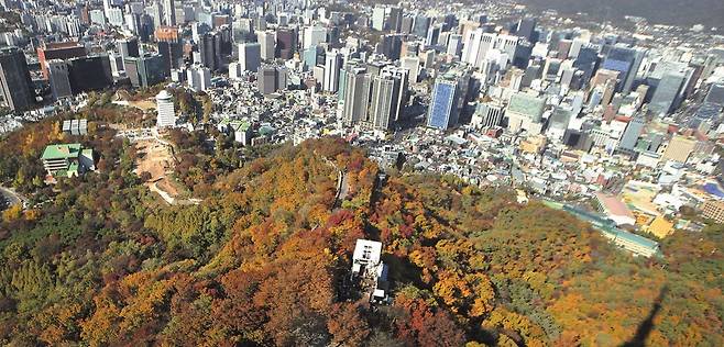 남산 고도지구로 지정돼 건물 높이 제한을 받는 지역은 고층 건물이 보이지 않는다. 그 뒤편에 고도 지구가 아닌 곳은 높은 빌딩들이 들어서 있다. /장련성 기자