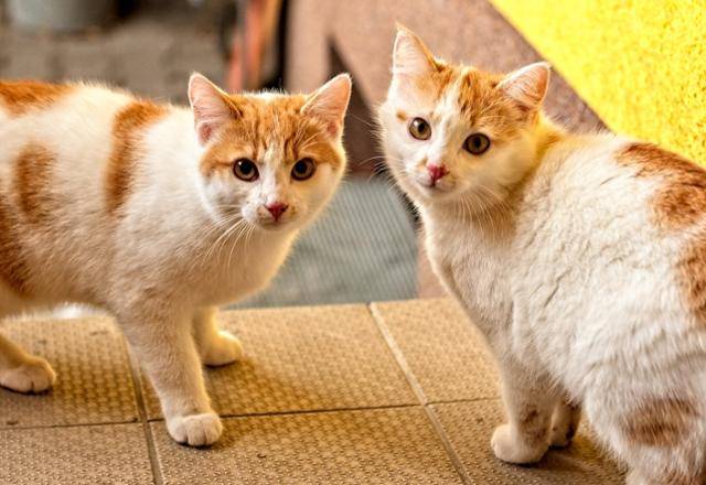 게티이미지뱅크