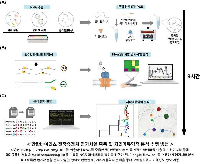 고려대 의대 연구진이 새로 개발한 한탄바이러스 감염 진단법 모식도. [자료=고려대의료원]