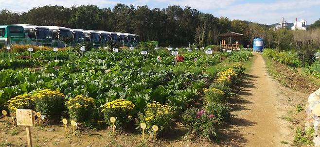 용인 공세동 시민농장 전경.ⓒ용인시 제공