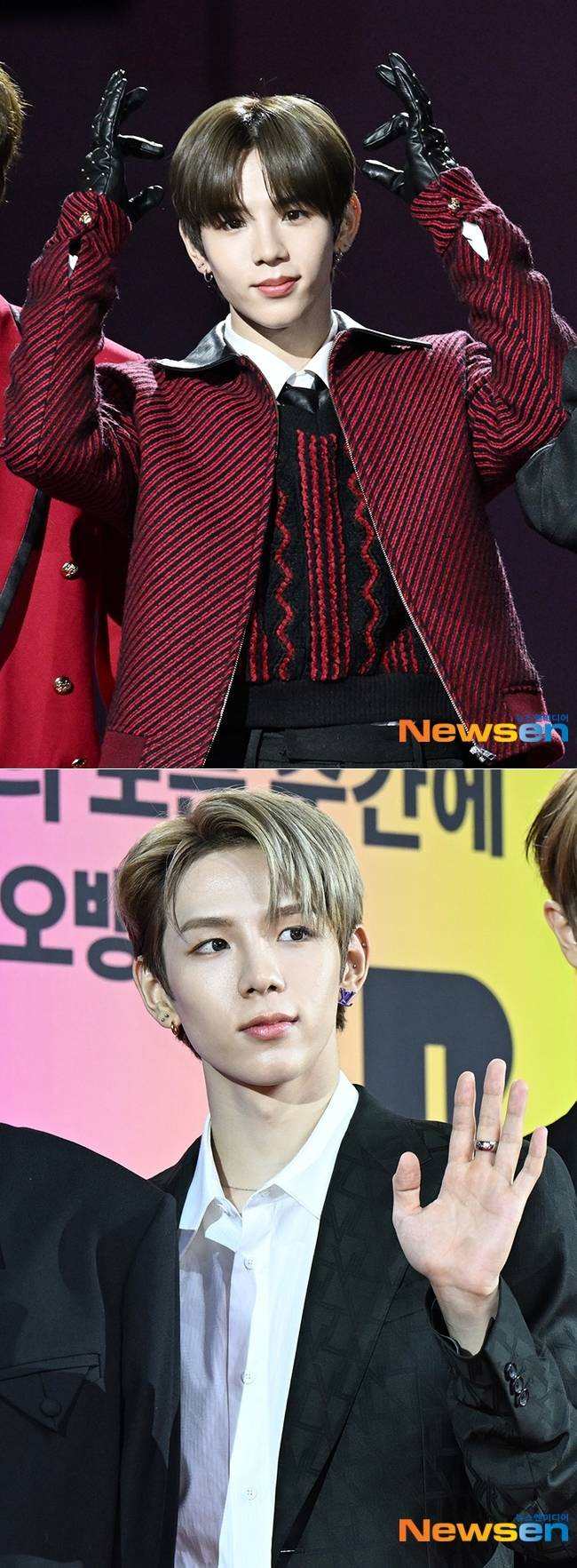 쇼타로, 뉴스엔DB