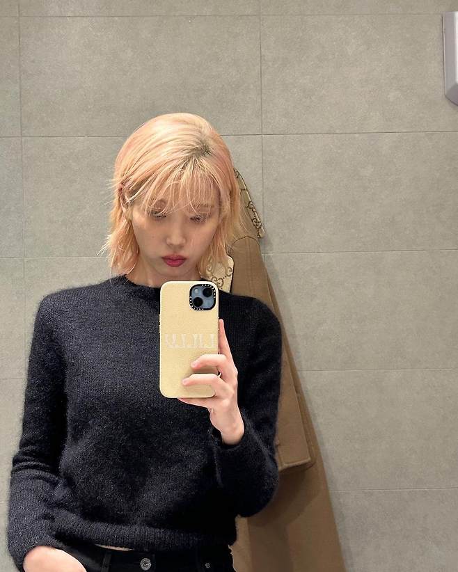 핑크머리 아이유