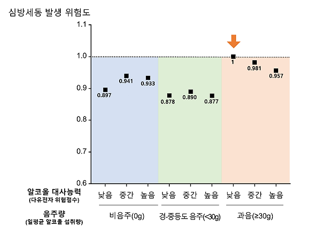 일평균 음주량 및 알코올 대사능력에 따른 심방세동 발생 위험도 비교｜출처: 서울대학교병원