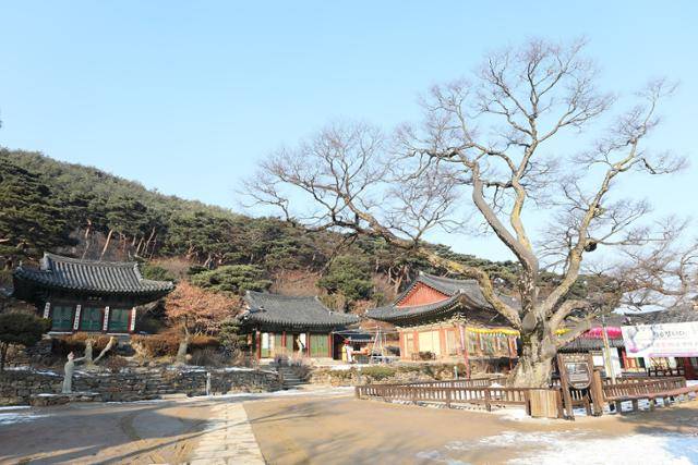 강화의 호국 역사와 함께한 전등사 전경. ⓒ박준규