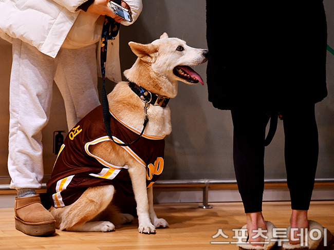 스포츠투데이 포토