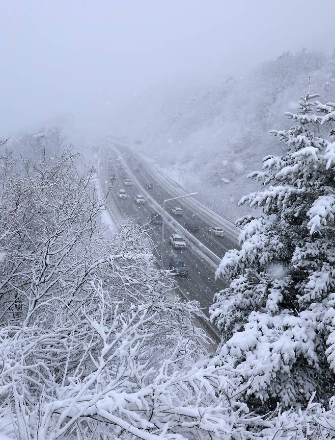 <yonhap photo-2898="">20일 대관령을 비롯한 강원 산간에 대설특보가 내려진 가운데 옛 영동고속도로 대관령 구간에서 차들이 조심스럽게 운행하고 있다. [연합뉴스]</yonhap>