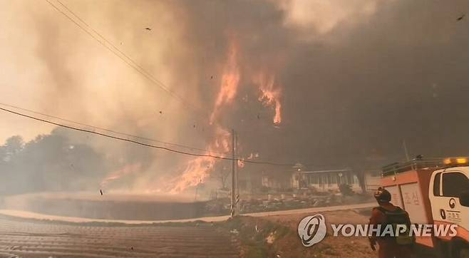 지난해 4월 발생한 강릉산불 (산림청, 연합뉴스)