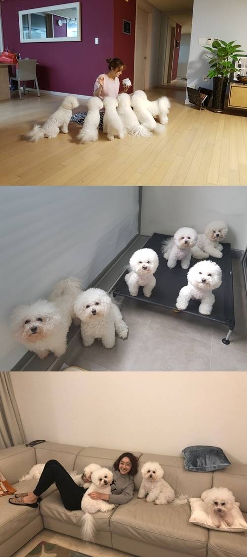 배우 서효림이 펫터뷰를 통해 반려견들을 소개했다. 사진=서효림