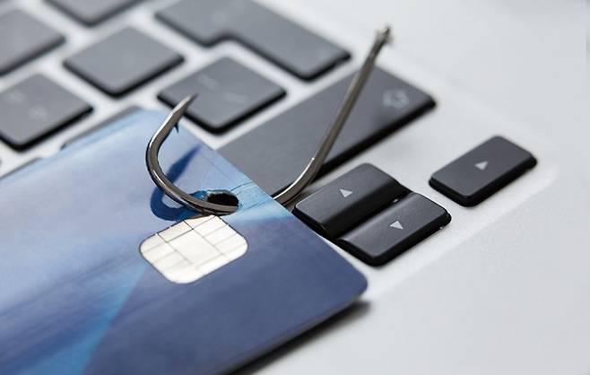 사진=이미지투데이