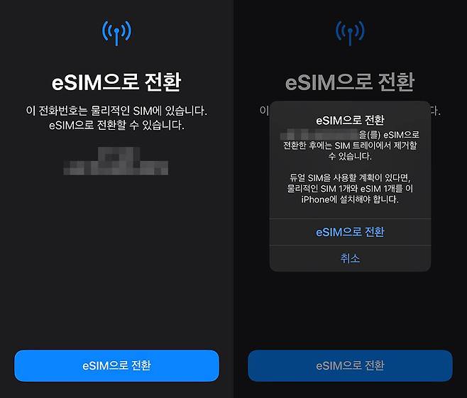 eSIM의 장단점을 고려해 사용 환경에 맞춰 선택하는 것이 좋다 / 출처=IT동아