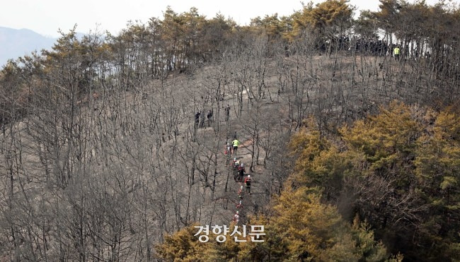 산불 진화 인력들이 2021년 2월22일 경북 안동시 임동면 망천리 산에서 일어났다가 진화된 산불 잔재를 정리하고 있다.  강윤중 기자