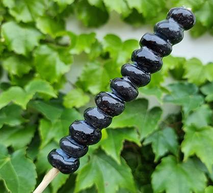 블루베리 탕후루