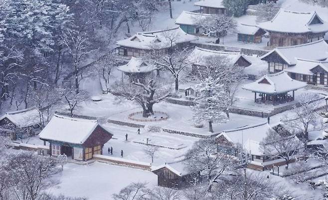 때아닌 동안거다. 부안 내소사에 폭설이 내렸다. 인적까지 끊긴 산사는 폭설마큼 포근함이 가득하다. 사진제공|내소사