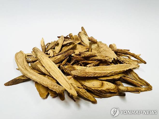 볶은 황기 [농촌진흥청 제공]