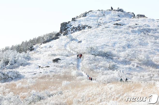 25일 광주 북구 무등산 일원에서 등산객들이 지난 사흘 동안 내린 눈으로 인해 설경을 이룬 등산로를 걷고 있다. 2024.1.25/뉴스1 ⓒ News1 김태성 기자