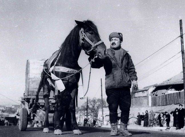 영화 ‘마부’ 스틸컷 ⓒ 다음(DAUM) 영화 정보