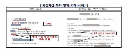 <금감원 제공>