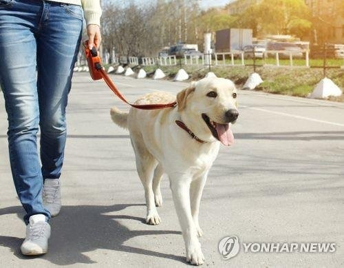 사진은 기사 본문과 무관함/사진=게티이미지뱅크,연합뉴스