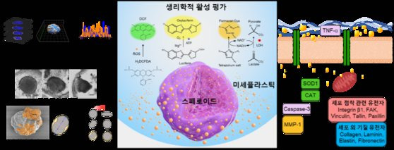 미세플라스틱의 피부 노출 평가를 위한 대표 그림