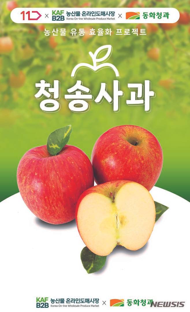 [나주=뉴시스] 한국농수산식품유통공사(aT)가 운영하는 '농산물 온라인도매시장'(kafb2b.or.kr)에서 25일 온라인 쇼핑몰 '11번가'의 첫 거래가 시작된다. (이미지=aT 제공) 2024.01.25. photo@newsis.com *재판매 및 DB 금지