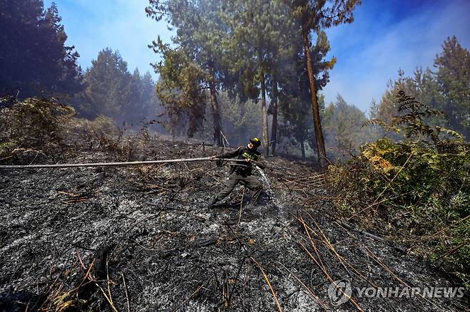 잿더미 된 콜롬비아 산림 (네모콘 AFP=연합뉴스) 24일(현지시간) 콜롬비아 네모콘에서 한 경찰관이 산불 진화를 돕고 있다. 2024.1.25