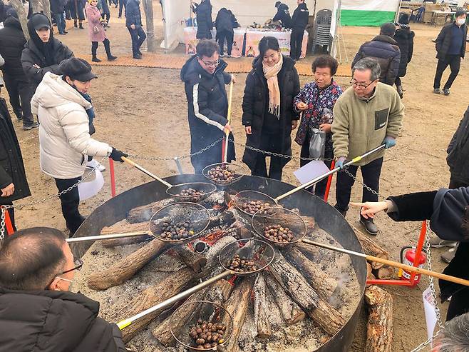 [공주=뉴시스] 군밤축제 및 알밤박람회 야외 체험장에서 관광객이 대형 화로에 밤을 굽고 있다.(사진=공주시 제공) 2024.01.26.  *재판매 및 DB 금지