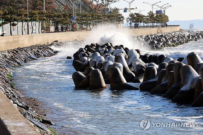 강한 겨울 파도 [연합뉴스 자료사진]