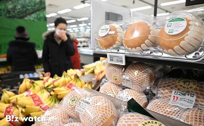 올해 4인 가족 설 차례상 비용이 역대 최고치를 경신했다. 특히 과일류와 채소류가 25% 이상 오르면서 장바구니 물가를 끌어올이고 있다./사진=이명근 기자 qwe123@