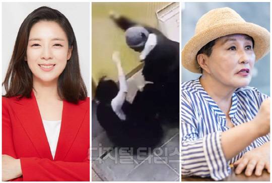 배현진(왼쪽) 국민의힘 의원과 전여옥 전 국회의원. <디지털타임스 박동욱 기자, 디지털타임스 DB, CCTV 화면>