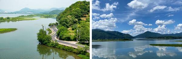 온라인 커뮤니티