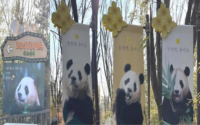 용인 에버랜드에 걸린 현수막 사진 모음. SNS 캡처