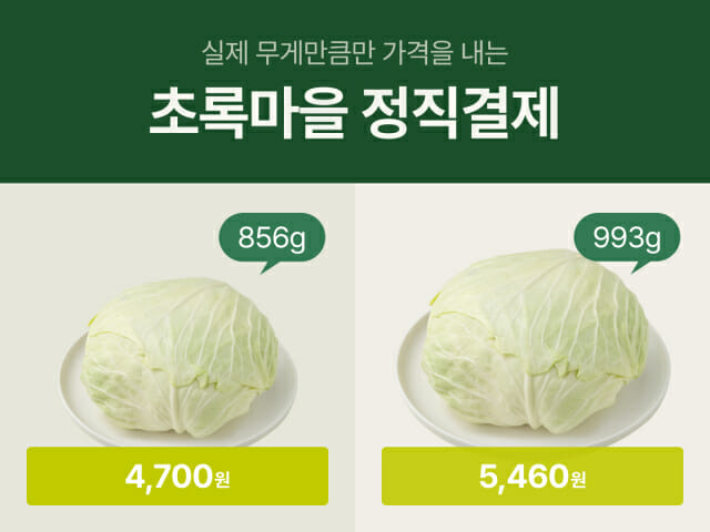 초록마을 정직결제