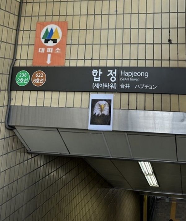 서울지하철 합정역 출구에 붙은 흰머리독수리 사진 ⓒX(옛 트위터) 캡처