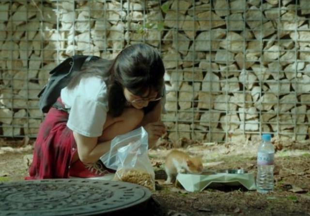 드라마 '내 남편과 결혼해줘'에는 아파 보이는 새끼 고양이가 등장한다. tvN 홈페이지 캡처