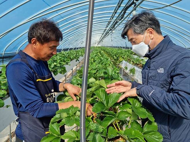 [밀양=뉴시스] 안병구(오른쪽) 예비후보가 28일 부북면의 한 딸기 농가를 방문해 농업인으로부터 다양한 의견 청취를 하고 있다. (사진=안병구 예비후보 선거사무소 제공) 2024.01.29. photo@newsis.com  *재판매 및 DB 금지