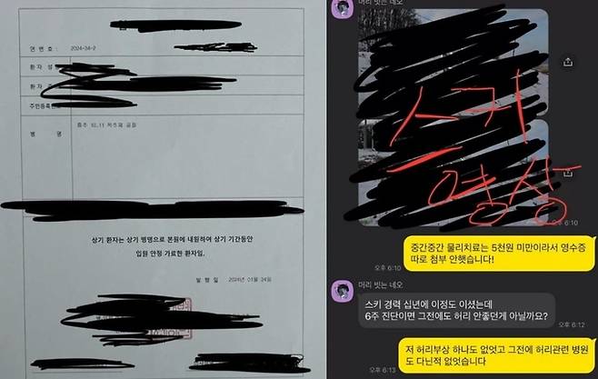 작성자 A씨가 제시한 자료/사진=디시인 사이드