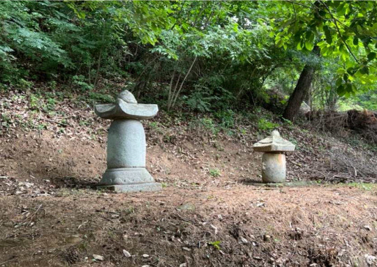 전의 비암사 청한당탑, 비암사 승탑 전경. 사진=세종시 제공