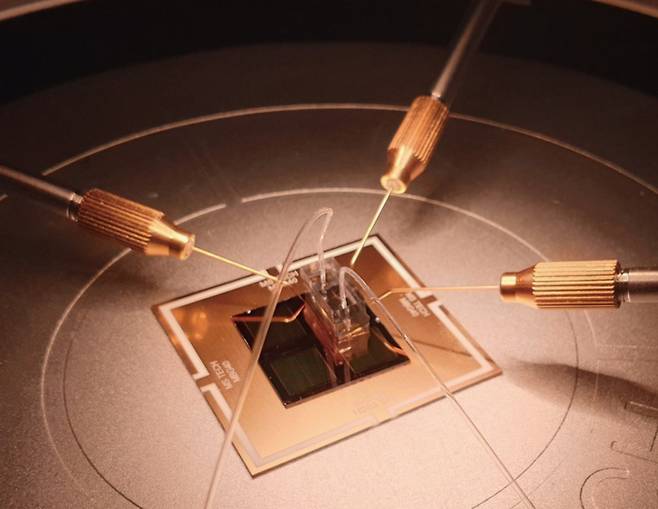 이윤희 DGIST 융합연구원 바이오융합연구부 박사 연구팀이 개발한 '분자안경'인 탄소 나노튜브를 이용한 단분자 감지 바이오센서 이미지