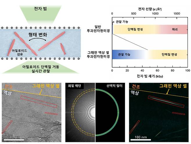 단분자 그래핀 액상 셀 전자현미경 모식도 및 성능. 한국과학기술원(KAIST) 제공