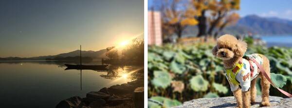 온라인 커뮤니티