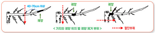 사진=충남도 제공