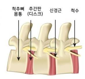 게티이미지뱅크
